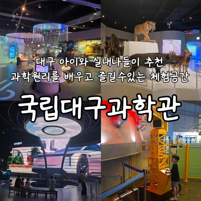 대구 아이와 여름나기 실내나들이장소 추천 국립대구과학관