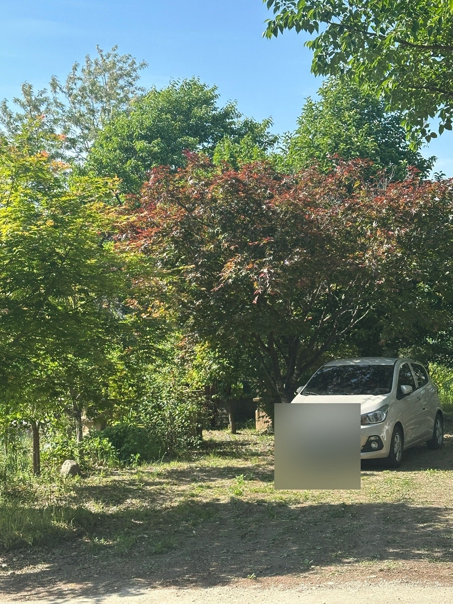 바오밥 사진 2