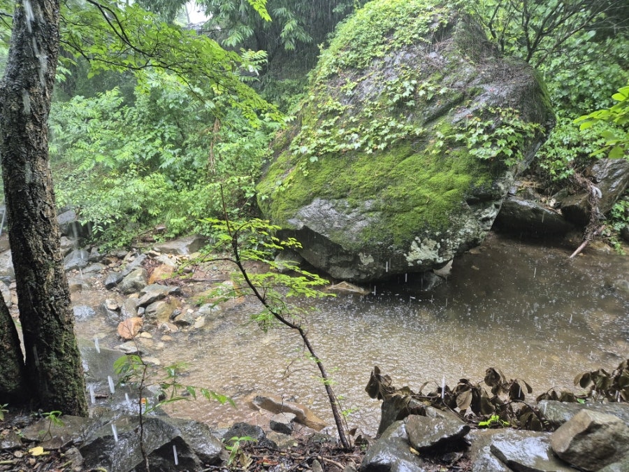 Gangdanggol photo 1