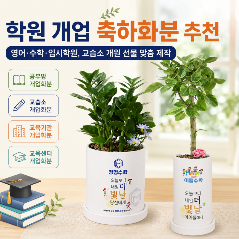 학원 개업 축하화분 추천 영어 수학 입시학원 교습소 개원 선물