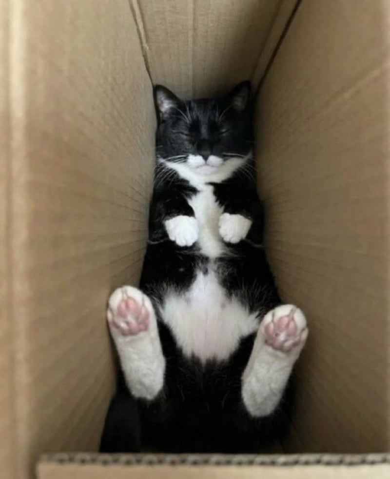다이소 리뷰 이것저것.. (음식물쓰레기통, 스프링유청분리기, 개인정보지우개, BHA 바디워시)