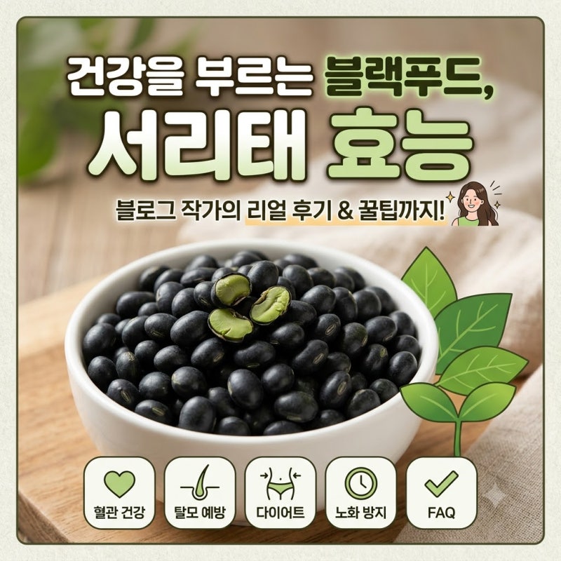 서리태효능 먹는법 부작용 정말 탈모에 도움될까?