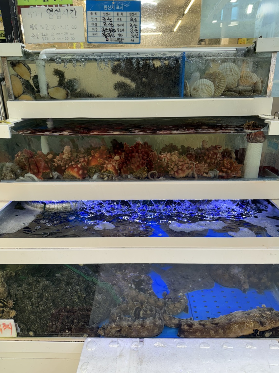 오늘도회는뜬다 사진 1