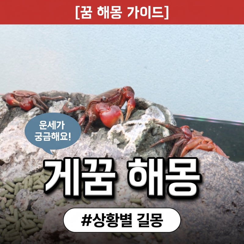 게꿈 게잡는꿈 상황별 길몽 9가지