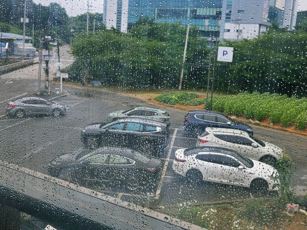 로로 사진 2