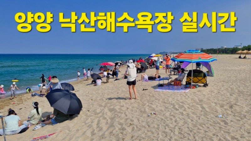양양 낙산해수욕장 2026 개장일.야간개장.시설 이용정보