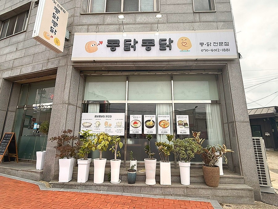콩닭콩닭 사진 1