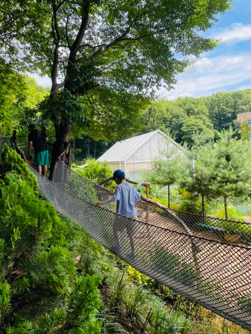 仁川バンディセサン 子供と行ける場所 自然に優しい森の遊び場 砂遊び 動物餌やり