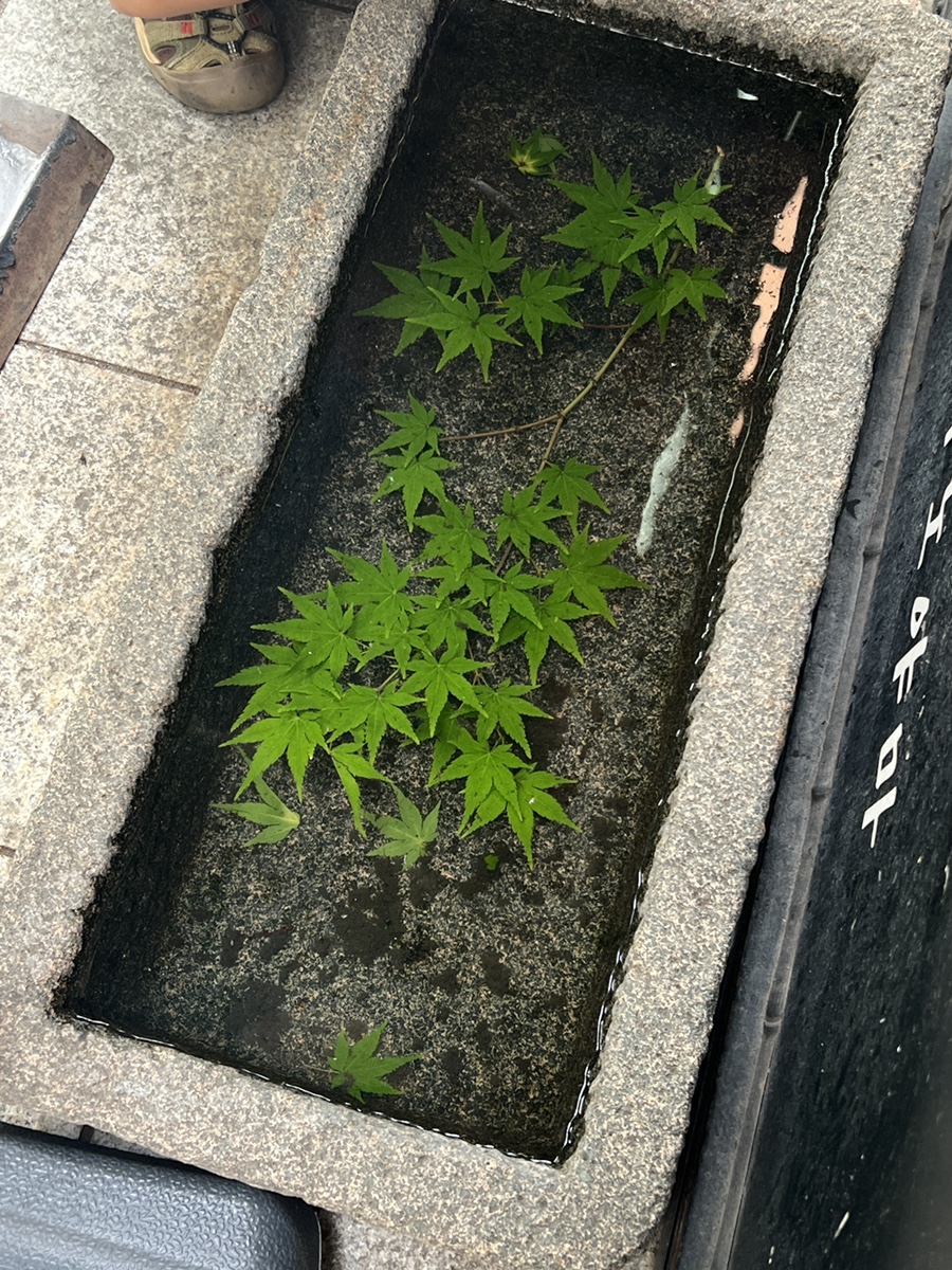 히노야마 사진 6