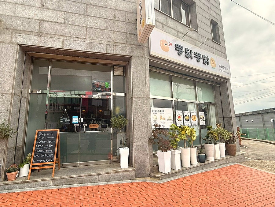 콩닭콩닭 사진 2