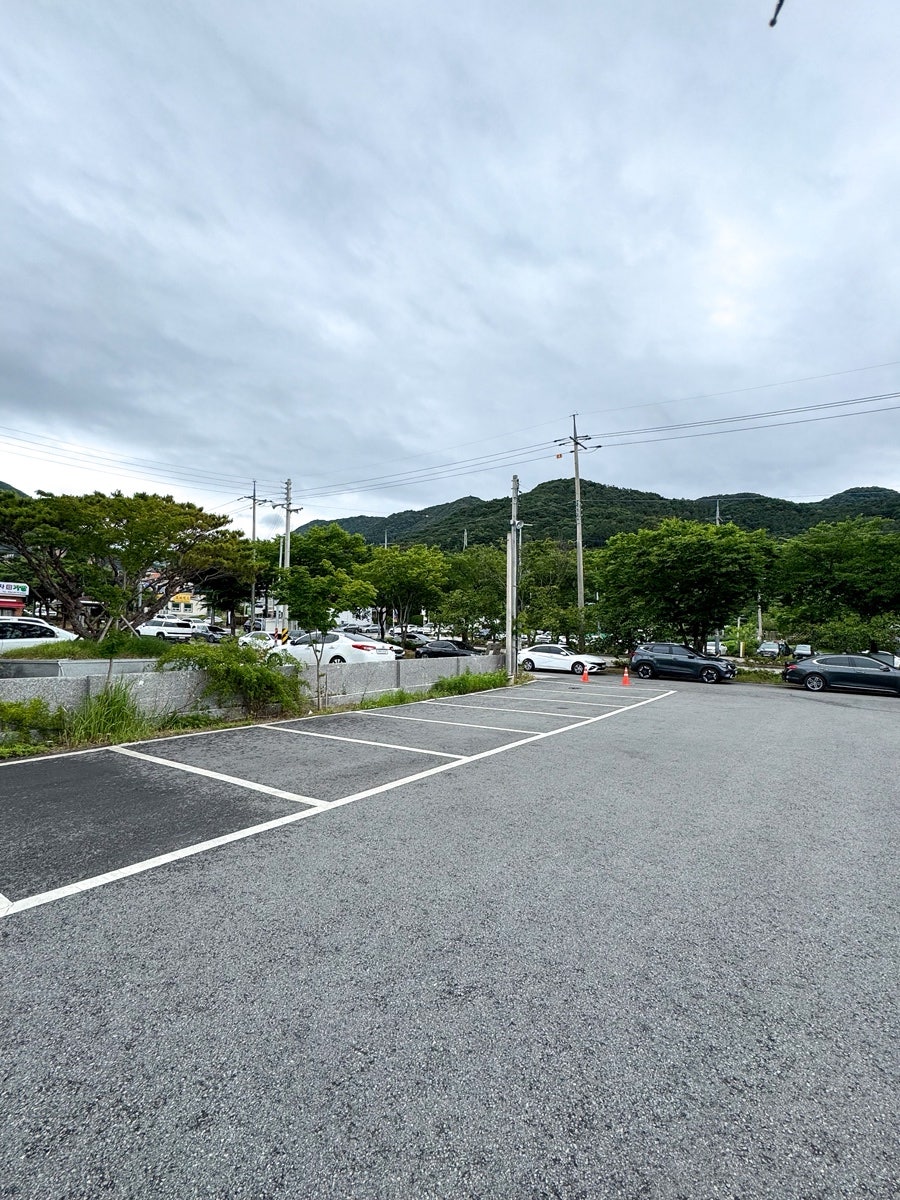 낙지촌 사진 2