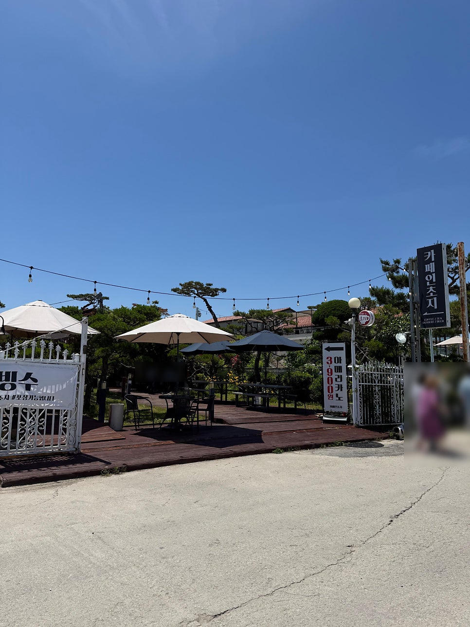 카페인초지 사진 4