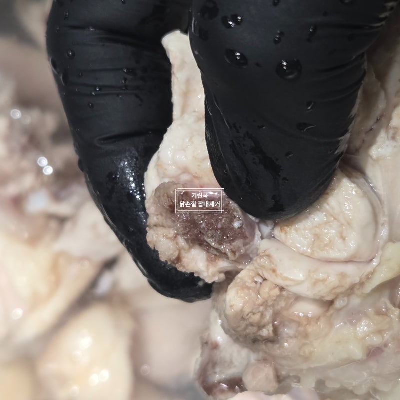 생닭 손질부터 닭 냄새 제거까지 실패 없는 꿀팁
