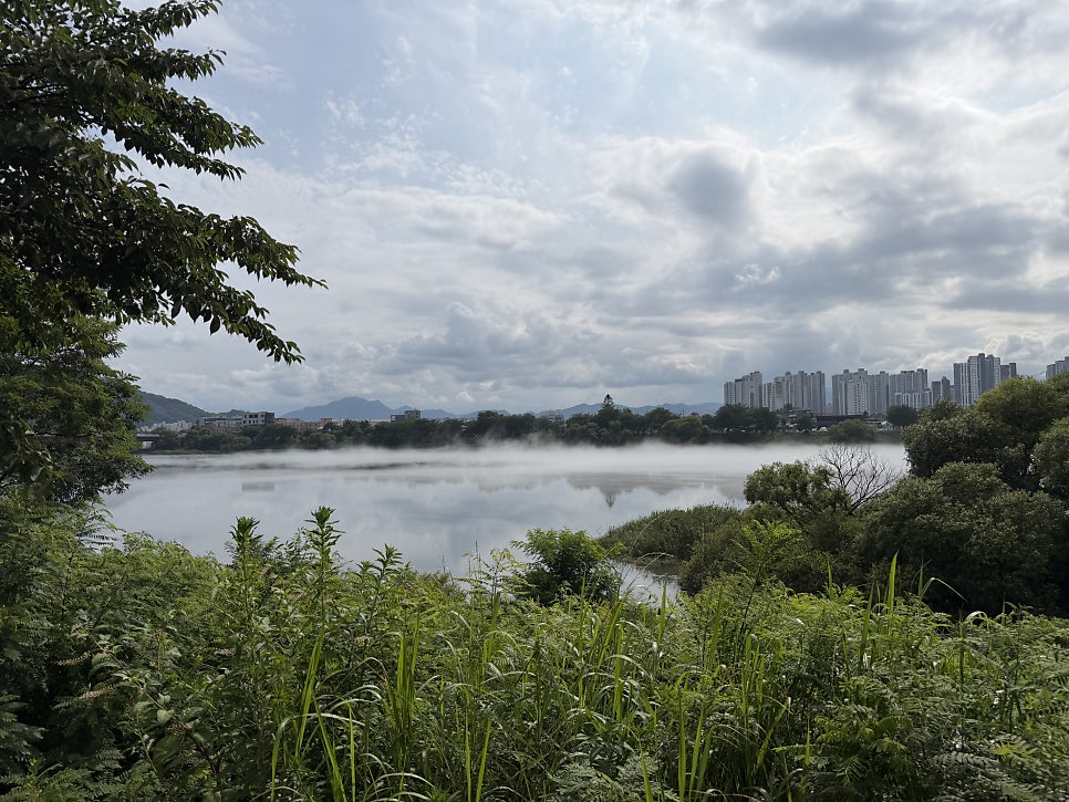 생삼겹구루 요선점 사진 1