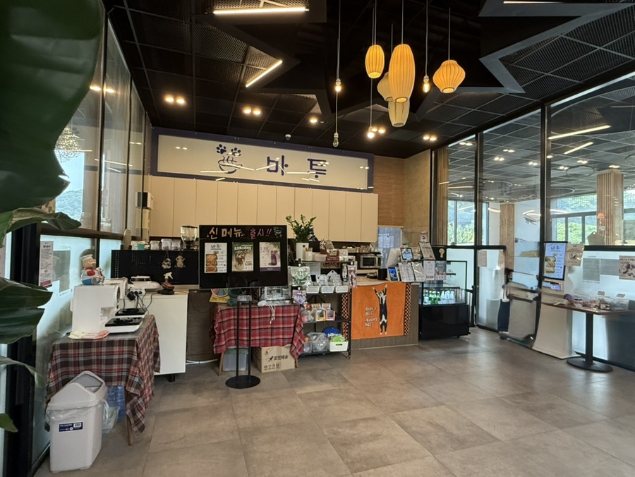 바투 사진 6