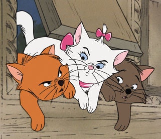[고양이 이름] 디즈니에 나온 고양이 이름들 // 사자와 호랑이 포함