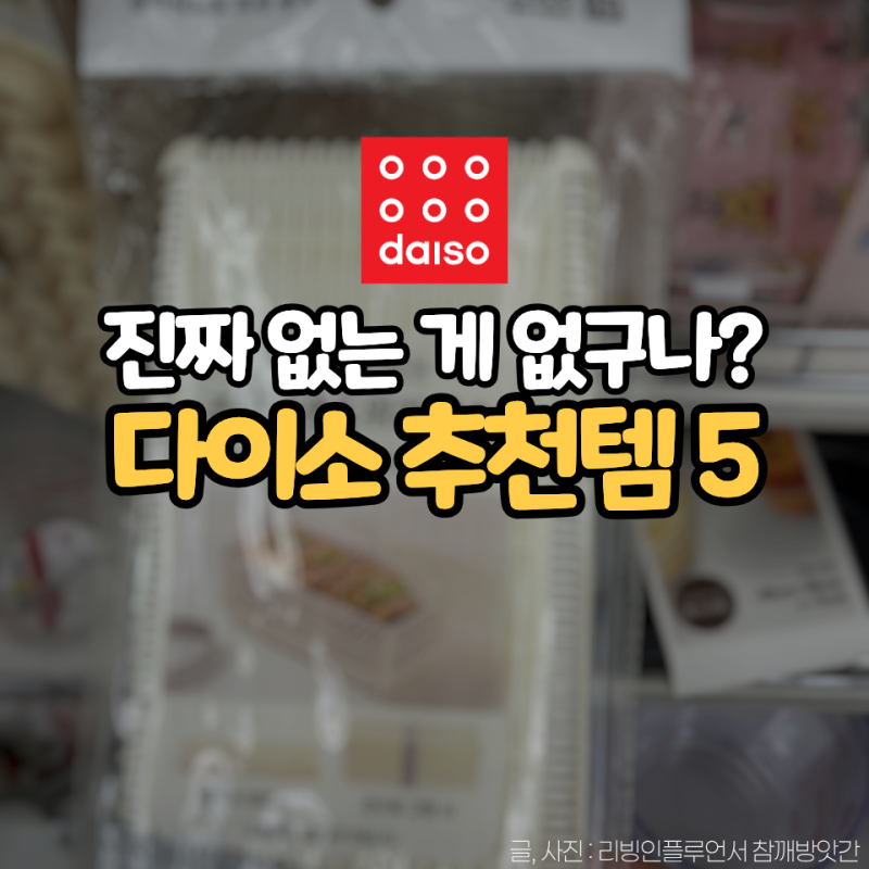 다이소 ‘이걸로’ 소풍 준비 끝내도 되겠죠? 도시락 아이템 5가지