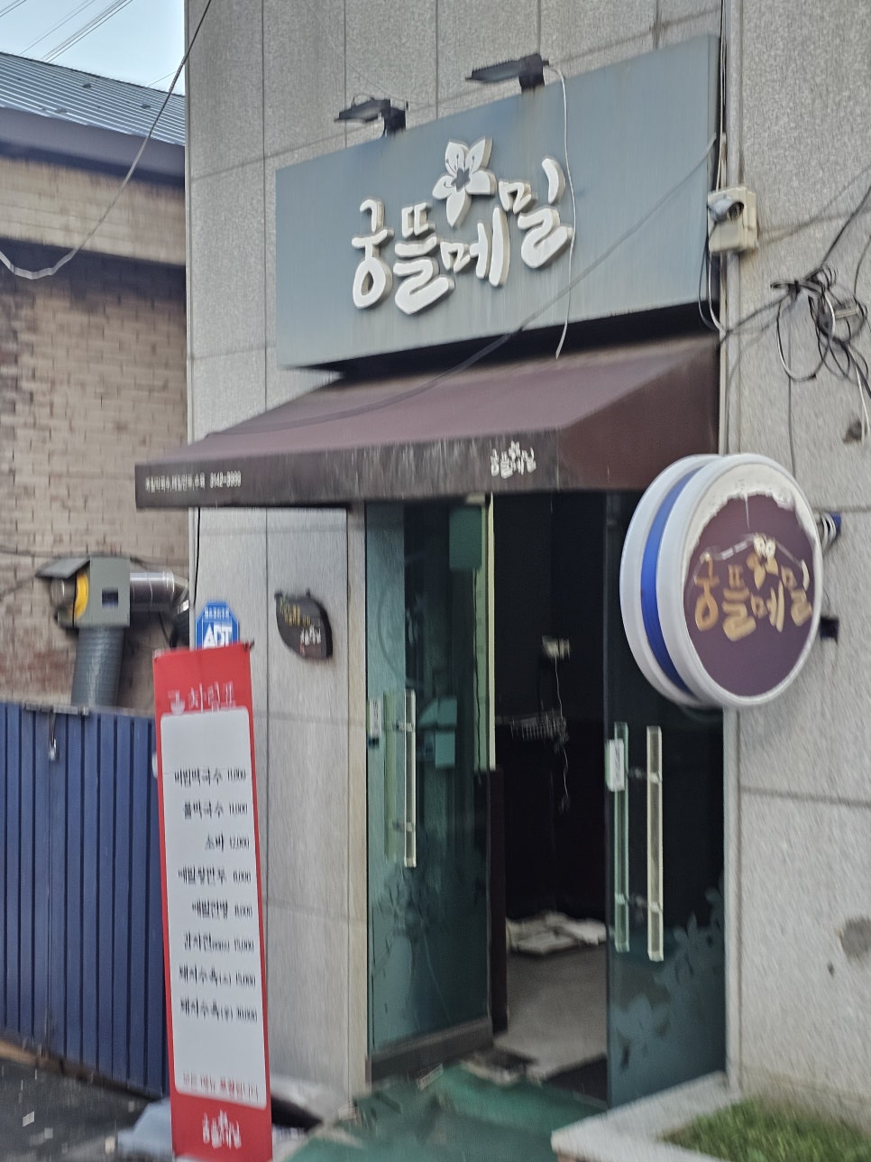 궁뜰메밀 사진 2