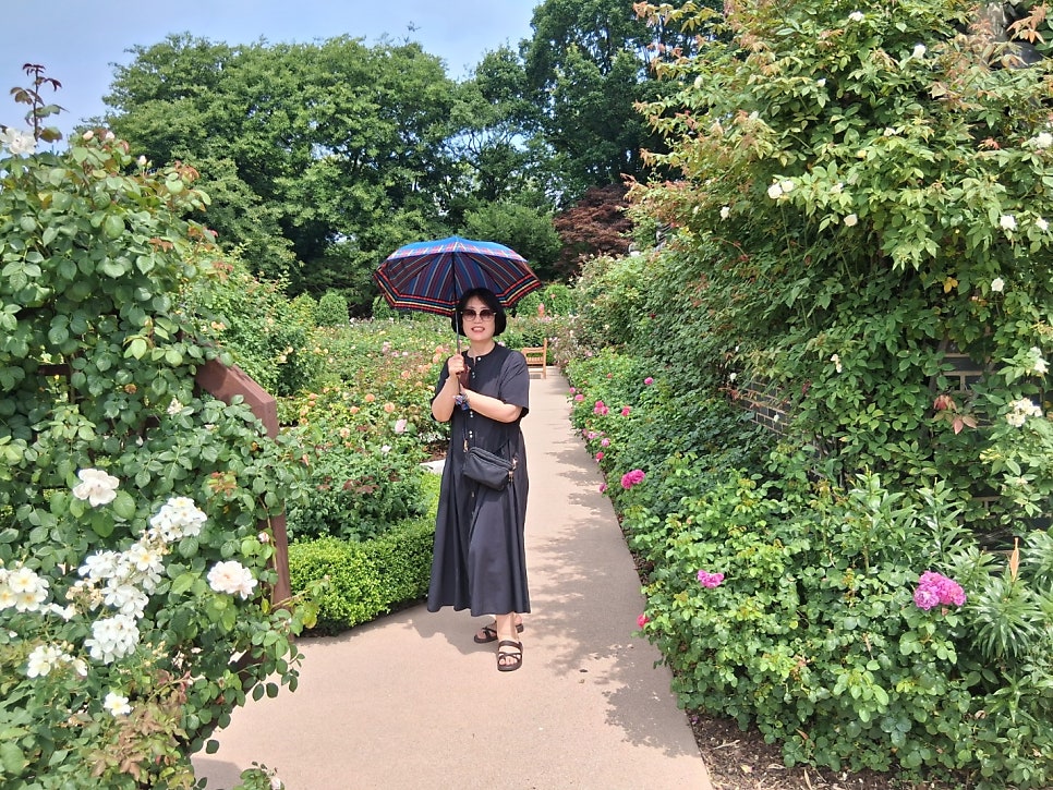 뜨락 사진 4