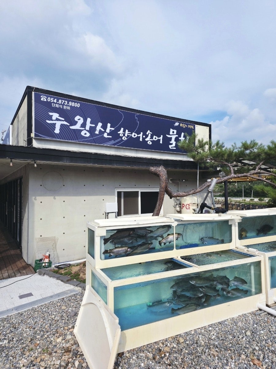 주왕산향어송어물회 사진 1