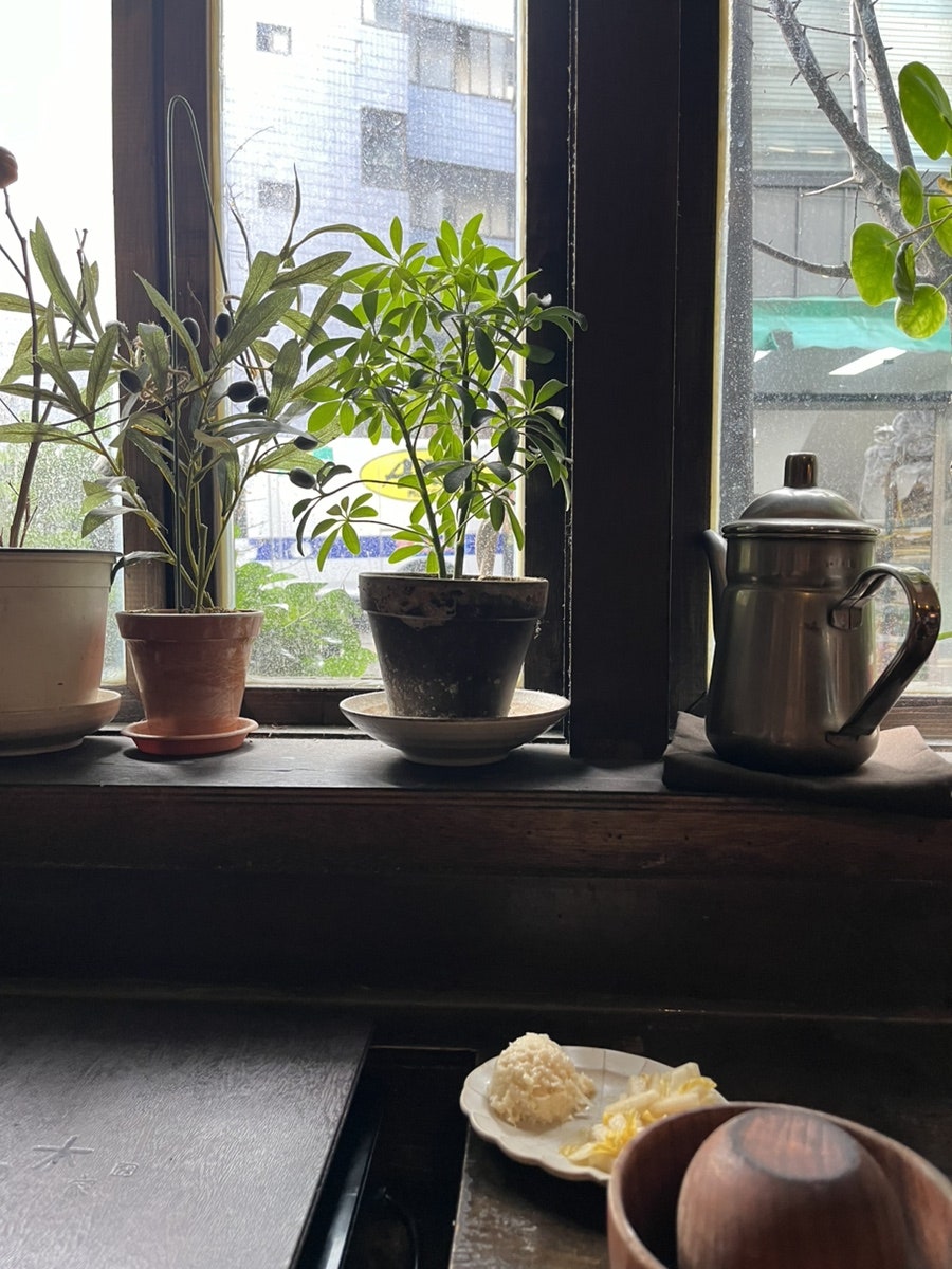 키노이에 사진 6