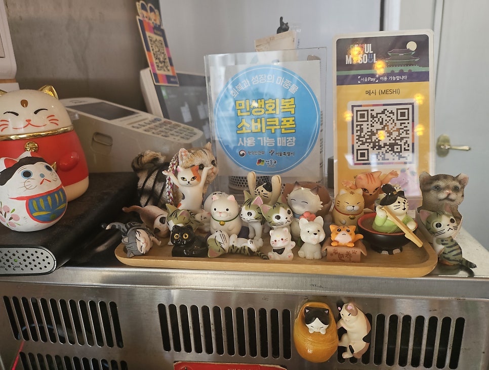 메시 사진 6