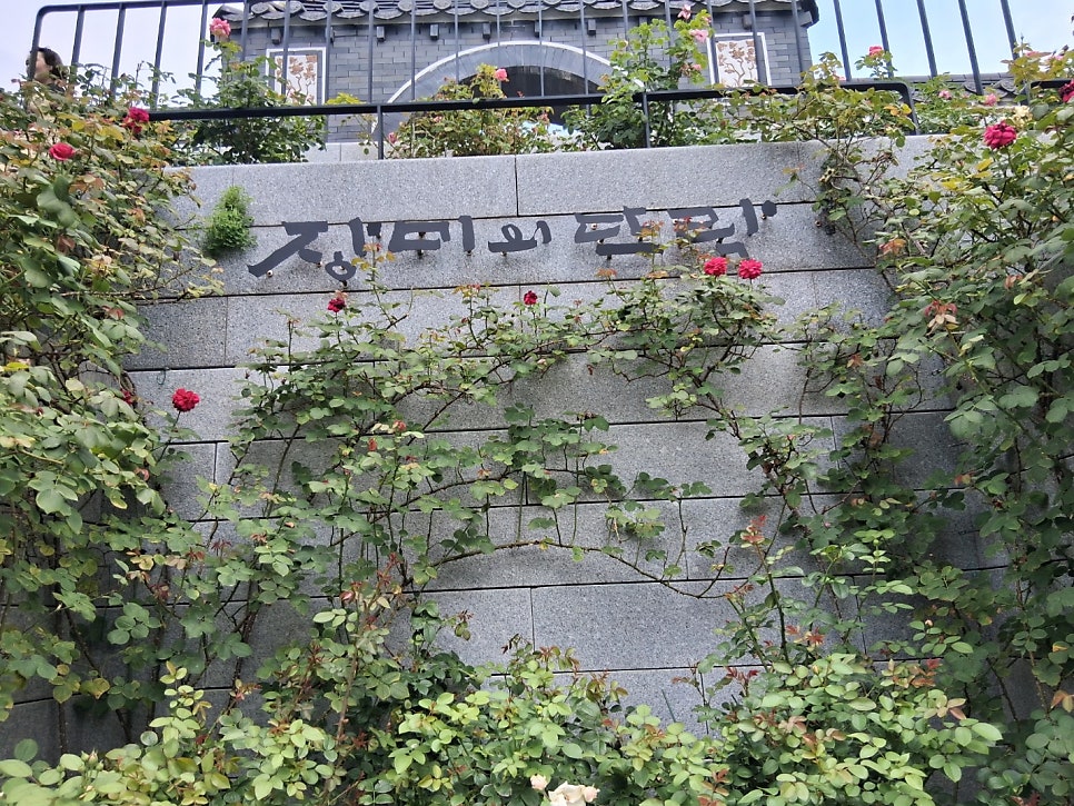 뜨락 사진 1