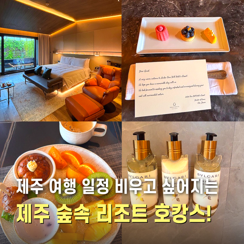 바다 대신 숲 속의 호캉스, 엠버퓨어힐 호텔 앤 리조트 제주 신관 포레스트 가든 후기