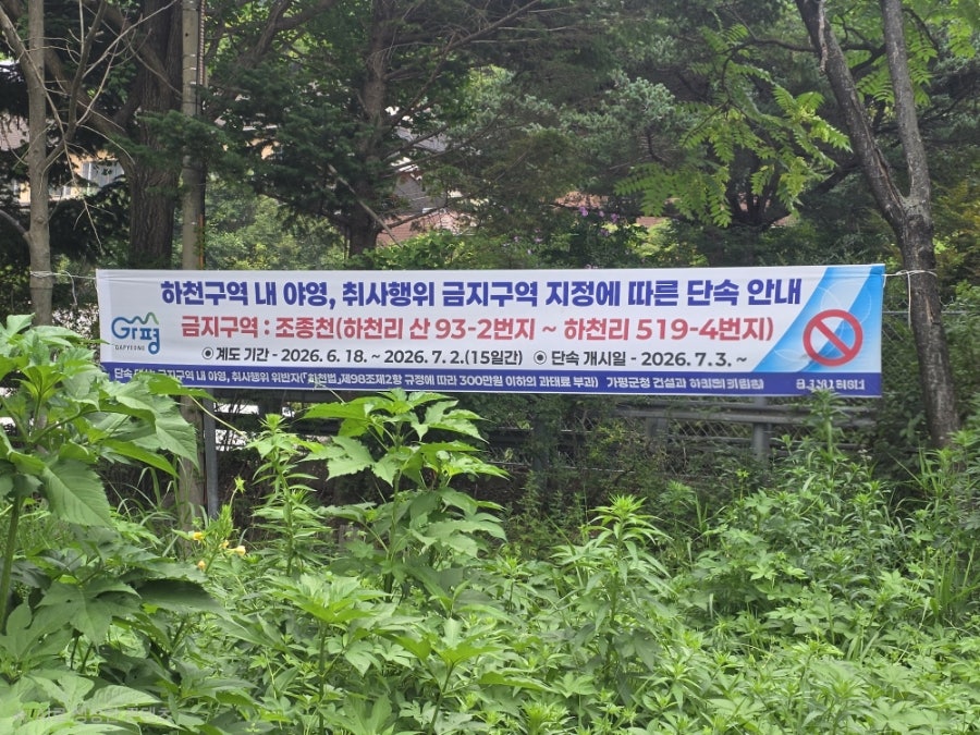 카페모모 사진 2