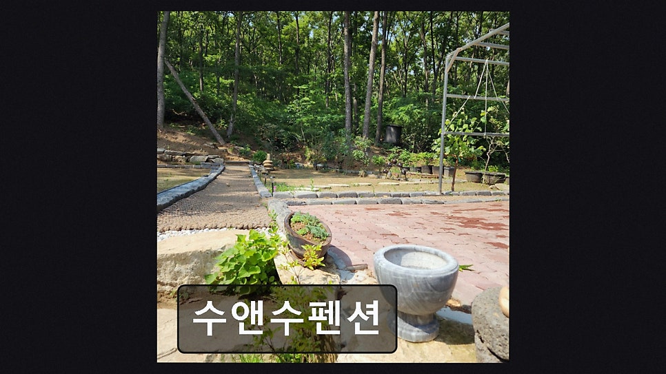 수앤수펜션 사진 3