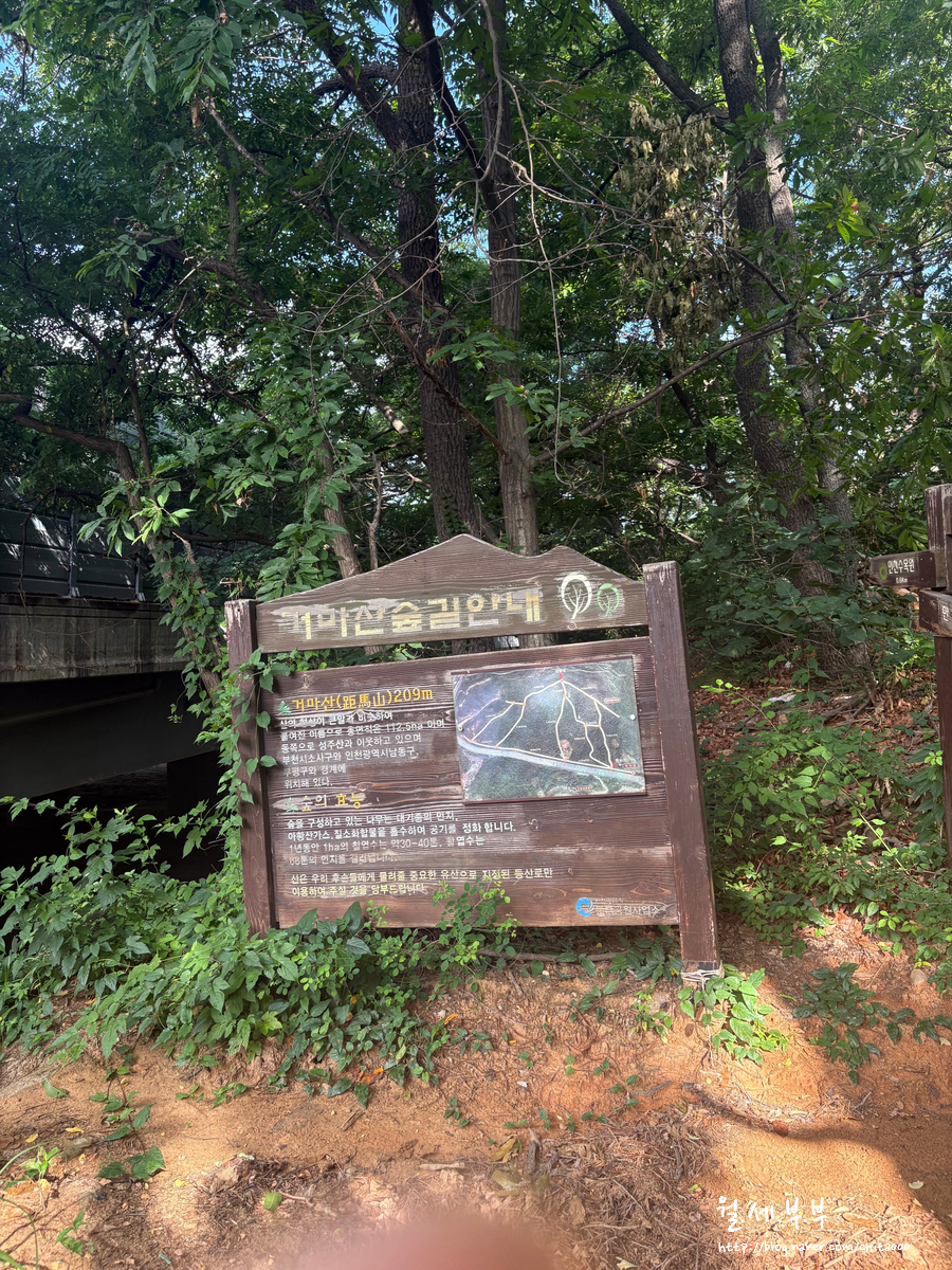 감나무집 사진 6