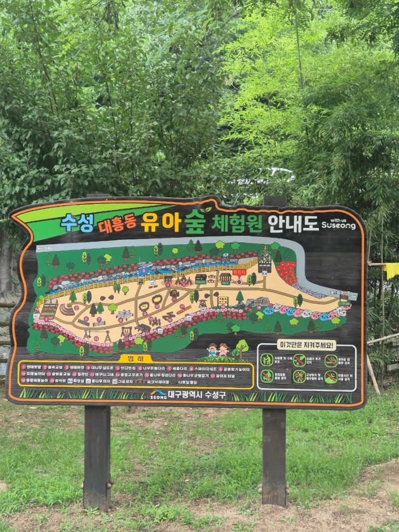 대구 아이랑 가볼 만한 곳｜대흥동 유아숲체험원, 짚라인부터 모래놀이 물놀이까지 하루 순....