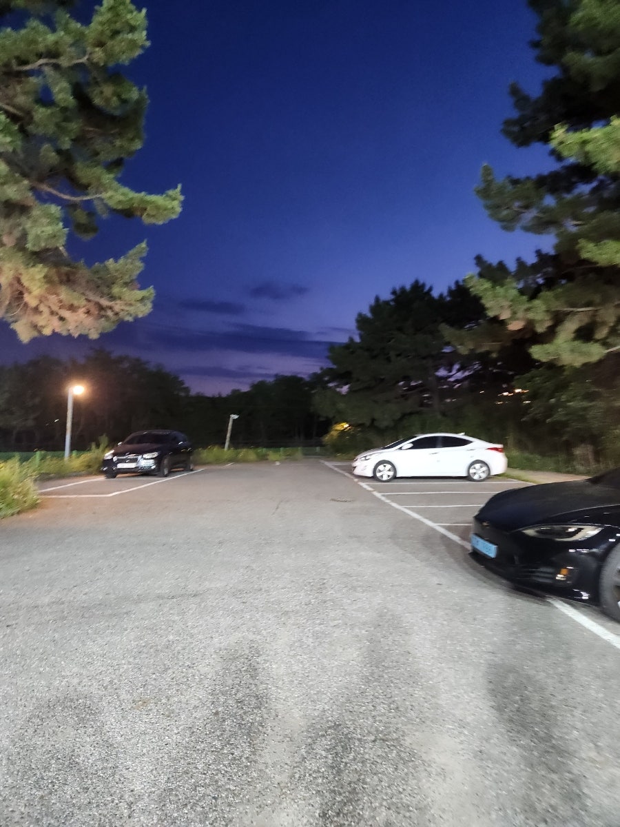 바다드림 사진 3