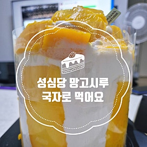 대전 성심당 망고시루 후기 주의사항 맛 나누는 방법 국자로 퍼먹기 팁^^
