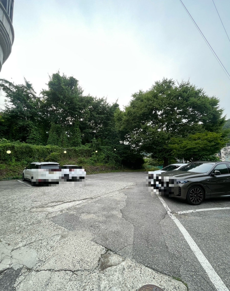홍고집 사진 6