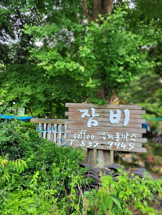 잠비 사진 1