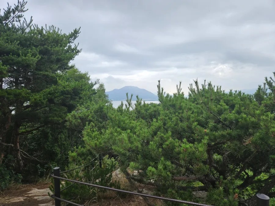 상주산 사진 6