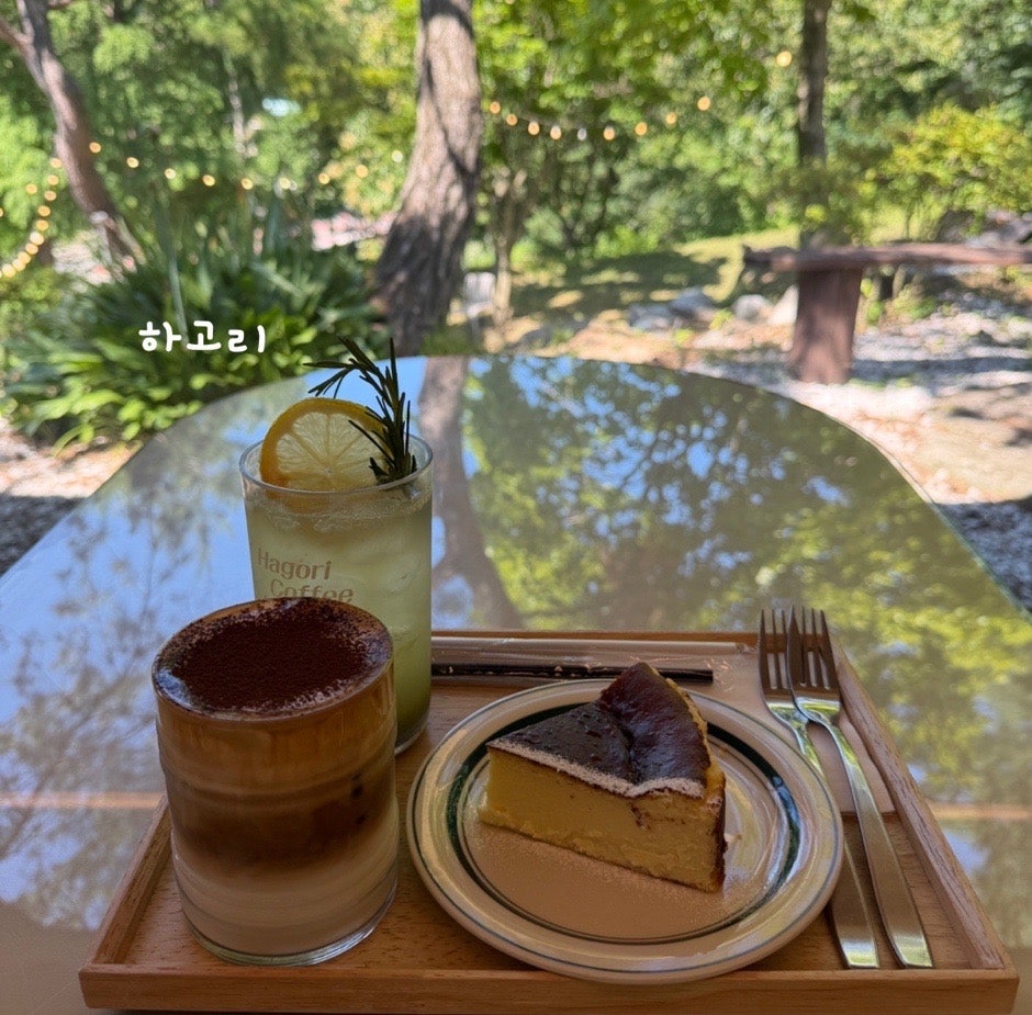 하고리 사진 1