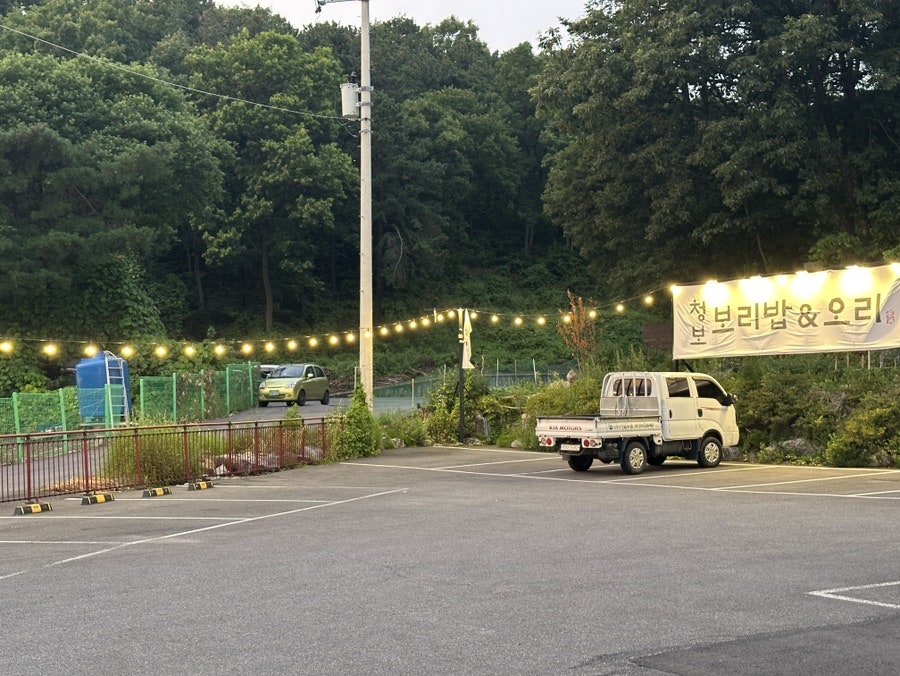 청보보리밥 사진 3