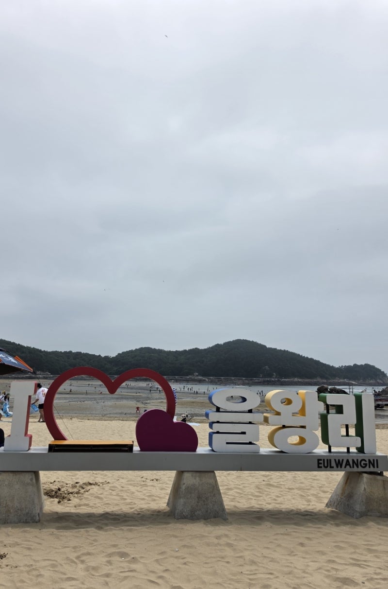 을왕리 해수욕장 다녀왔어요｜주차장부터 백사장 이용료, 샤워장, 갈매기까지 힐링했던 영....