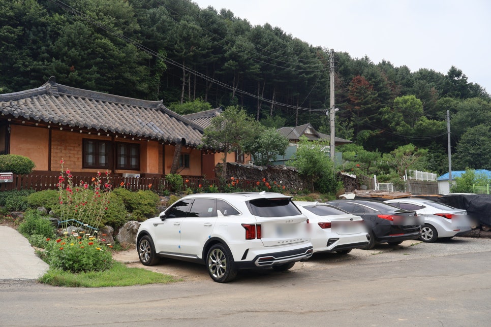 뜨레비앙펜션 사진 4