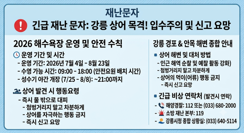 강릉 상어 출몰 재난문자 발송! 경포·안목해변 현재 상황과 여름철 바다 안전 수칙