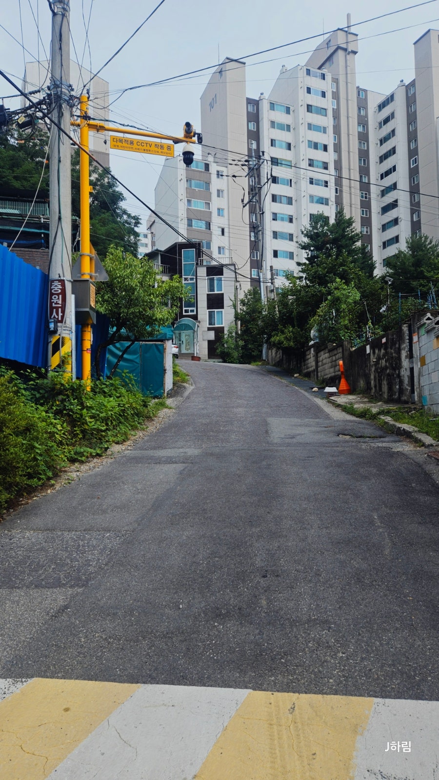 전봇대로 사진 2