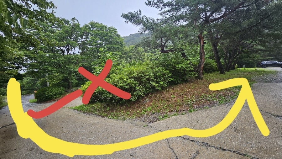 카페인더숲 2호점 사진 3