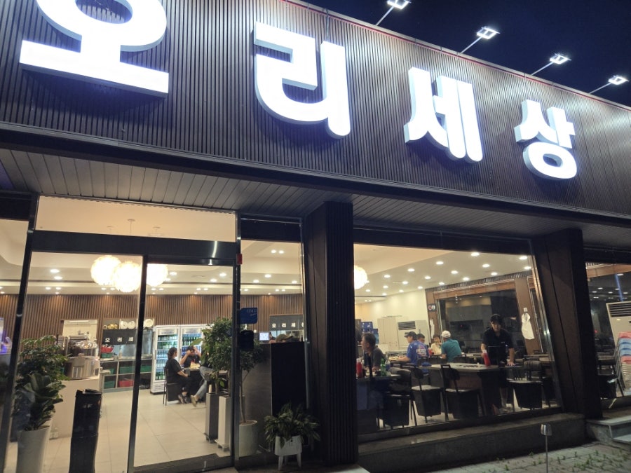 오리세상 사진 2