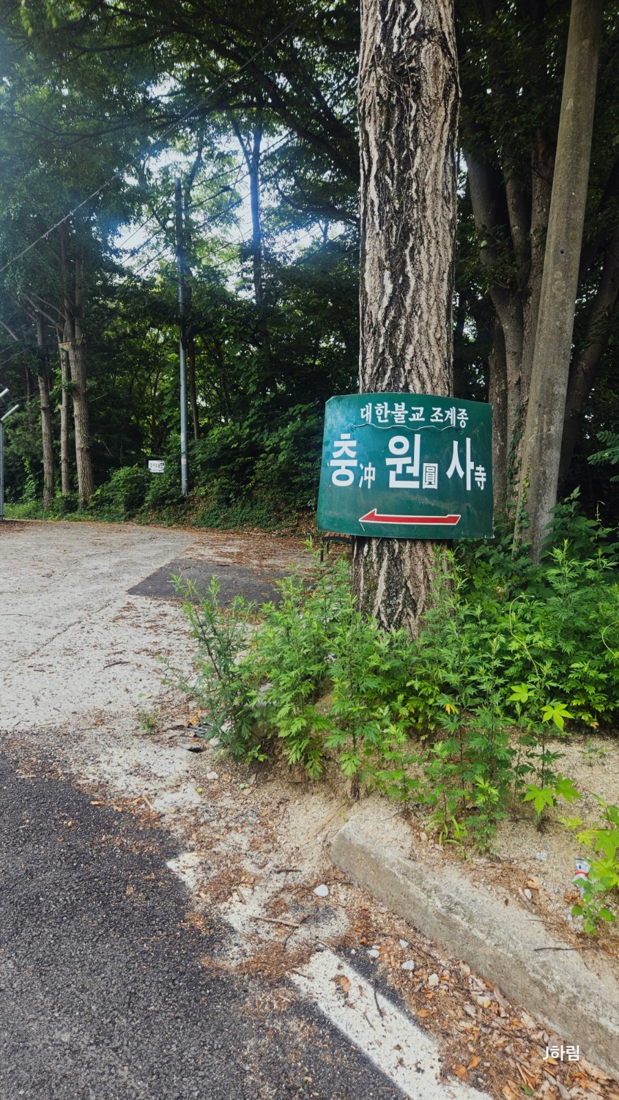 전봇대로 사진 5
