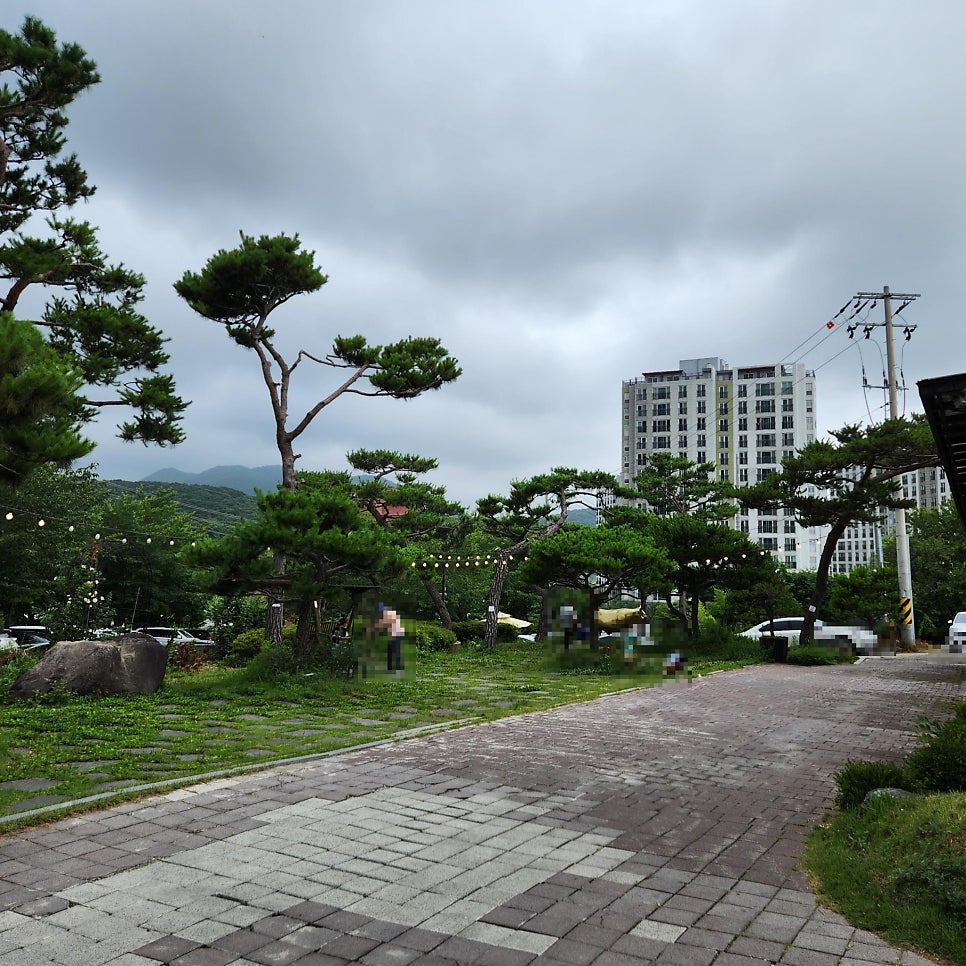 선일목장 정육식당 사진 6