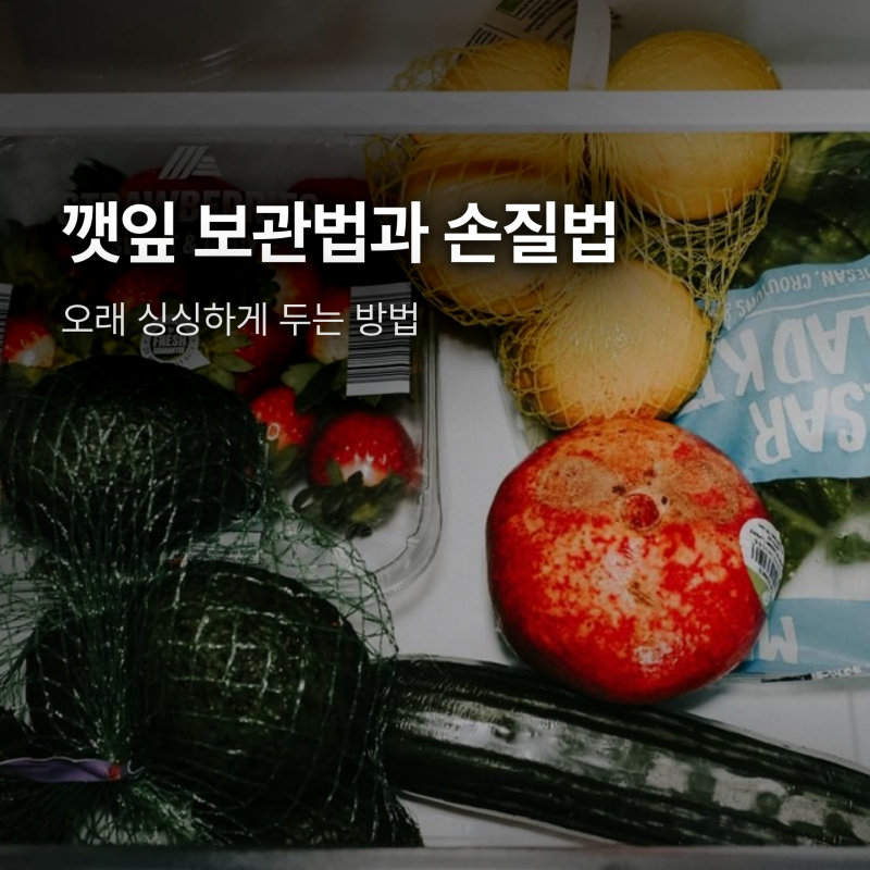 깻잎 보관법과 손질법, 오래 싱싱하게 두는 방법