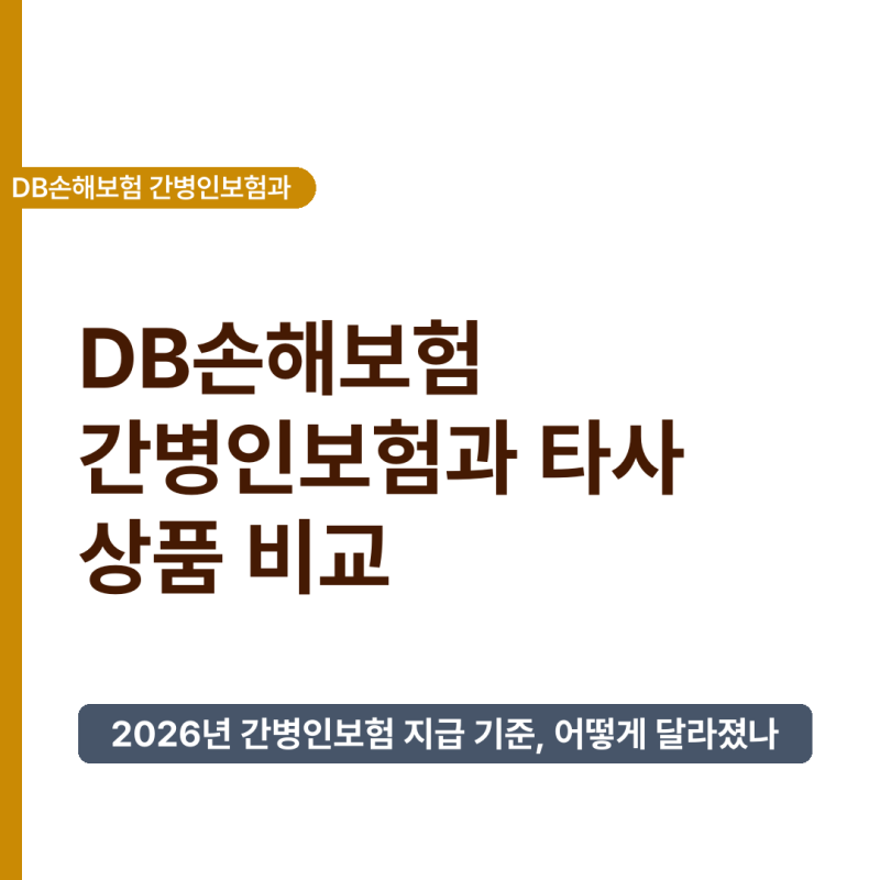 2026년 DB손해보험 간병인보험과 타사 상품 비교