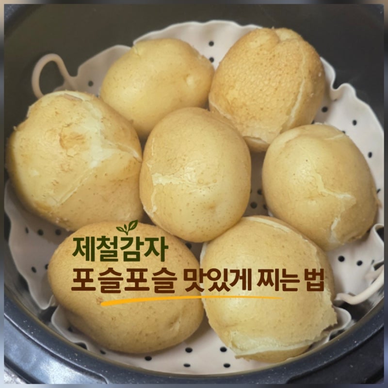 전기압력밥솥 감자찌기, 제철감자 포슬포슬 맛있게 삶는법 초간단 레시피